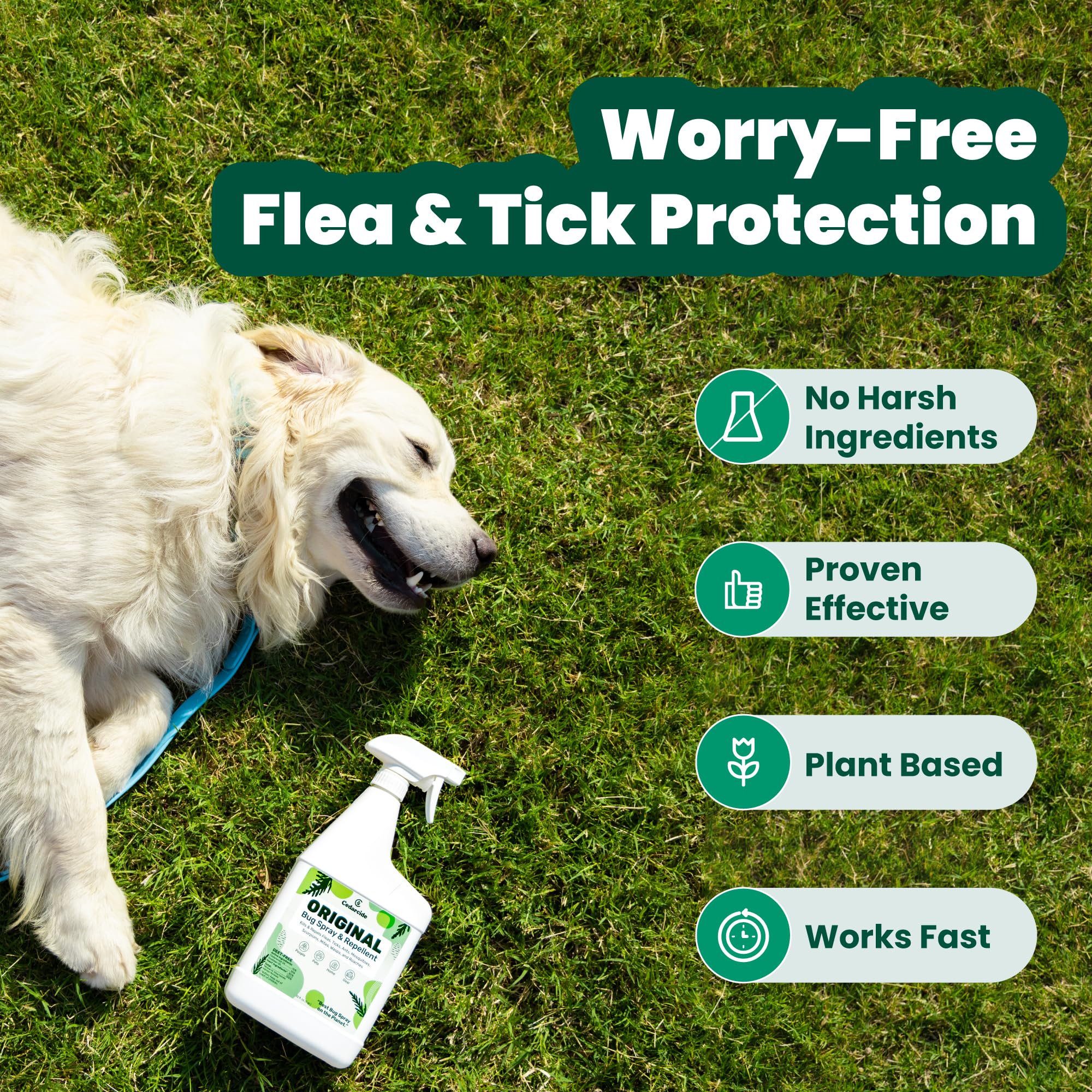 Cedarcide applied to pet bedding showing safe, gentle pest control