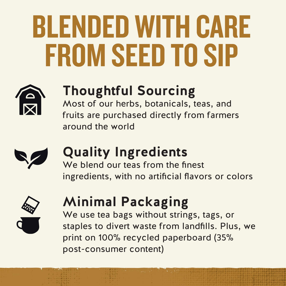 Celestial Seasonings brewed tea in a mug offering warming comfort and chai flavor benefit