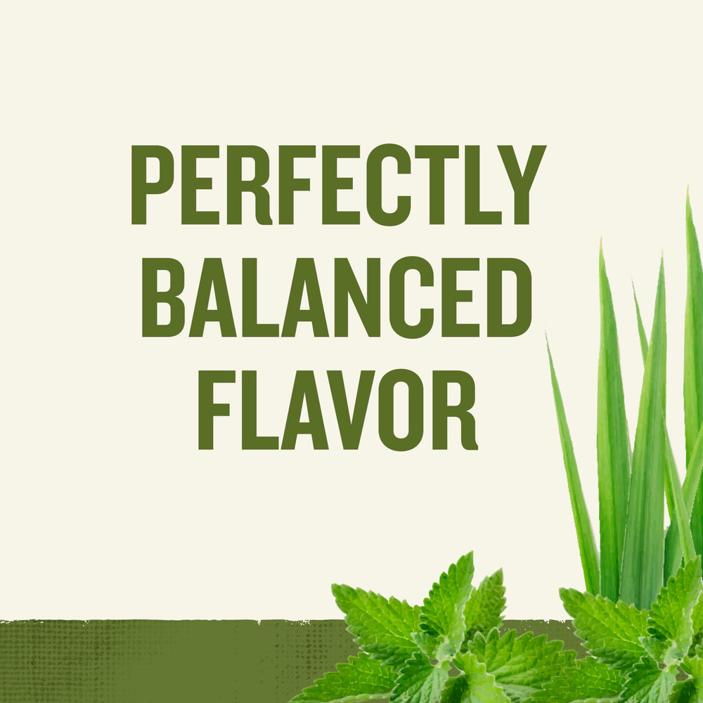 Steeping Celestial Seasonings tea in a cup illustrating soothing mint aroma benefit