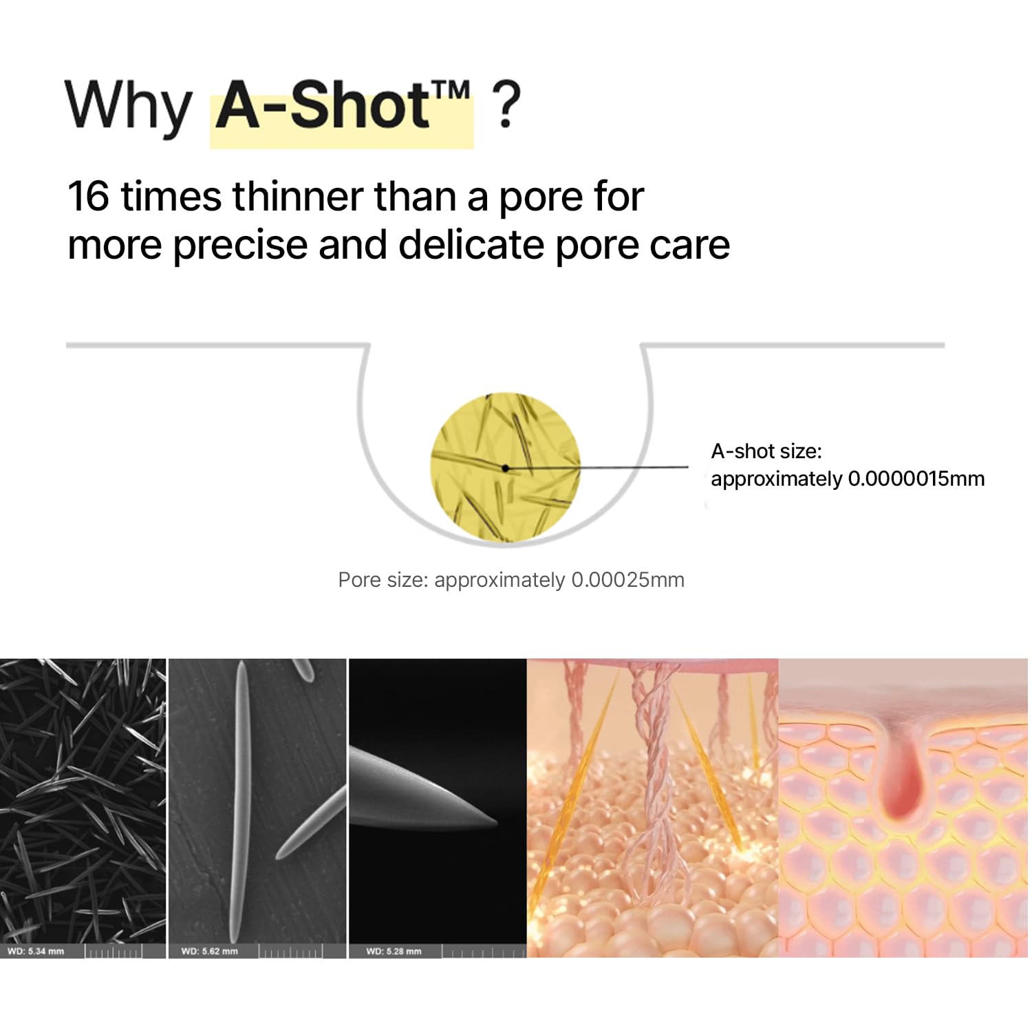 celimax micro-particle illustration depicting pore-targeted delivery benefit