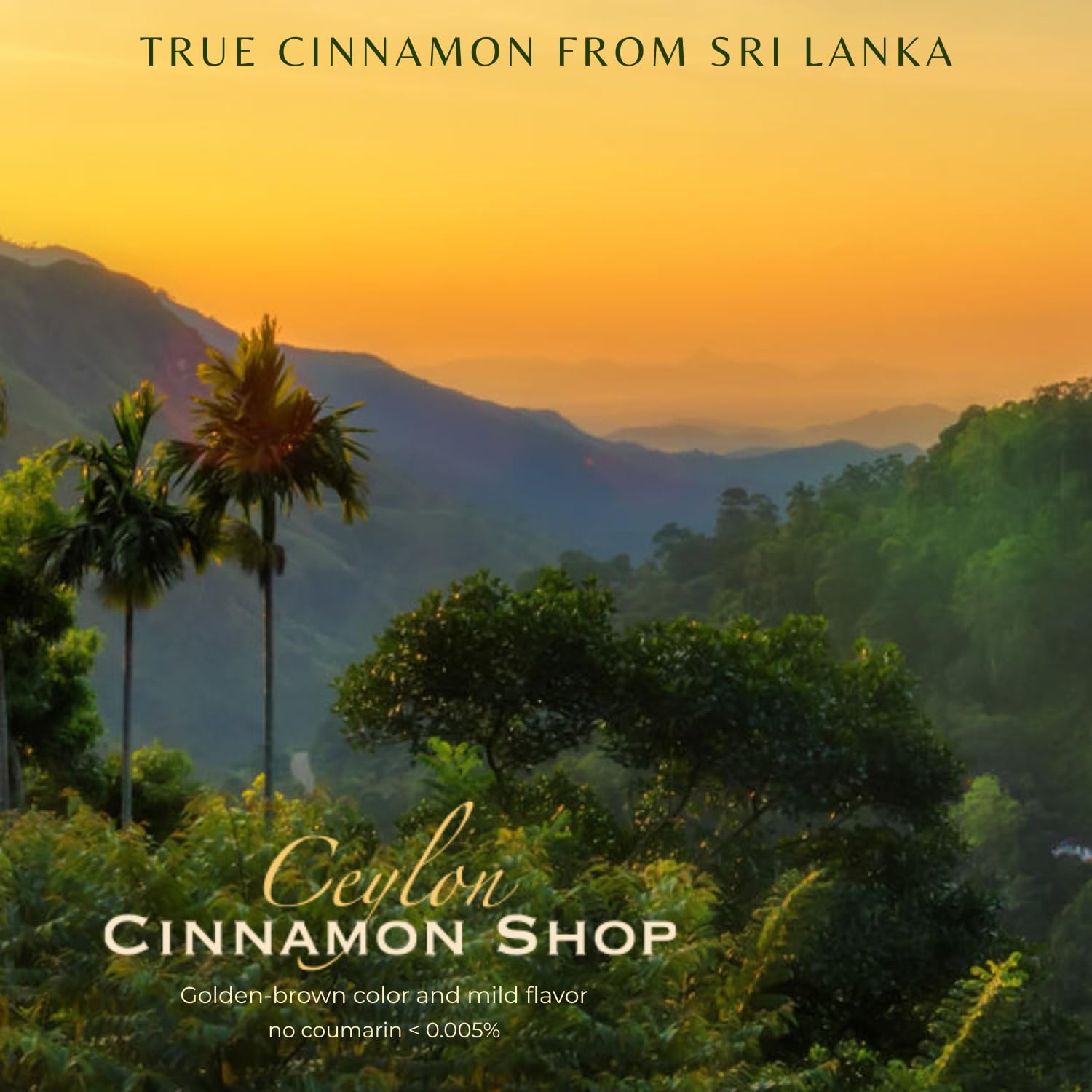 Ceylon Cinnamon Shop certification labels zoomed to show USDA and Fairtrade verification