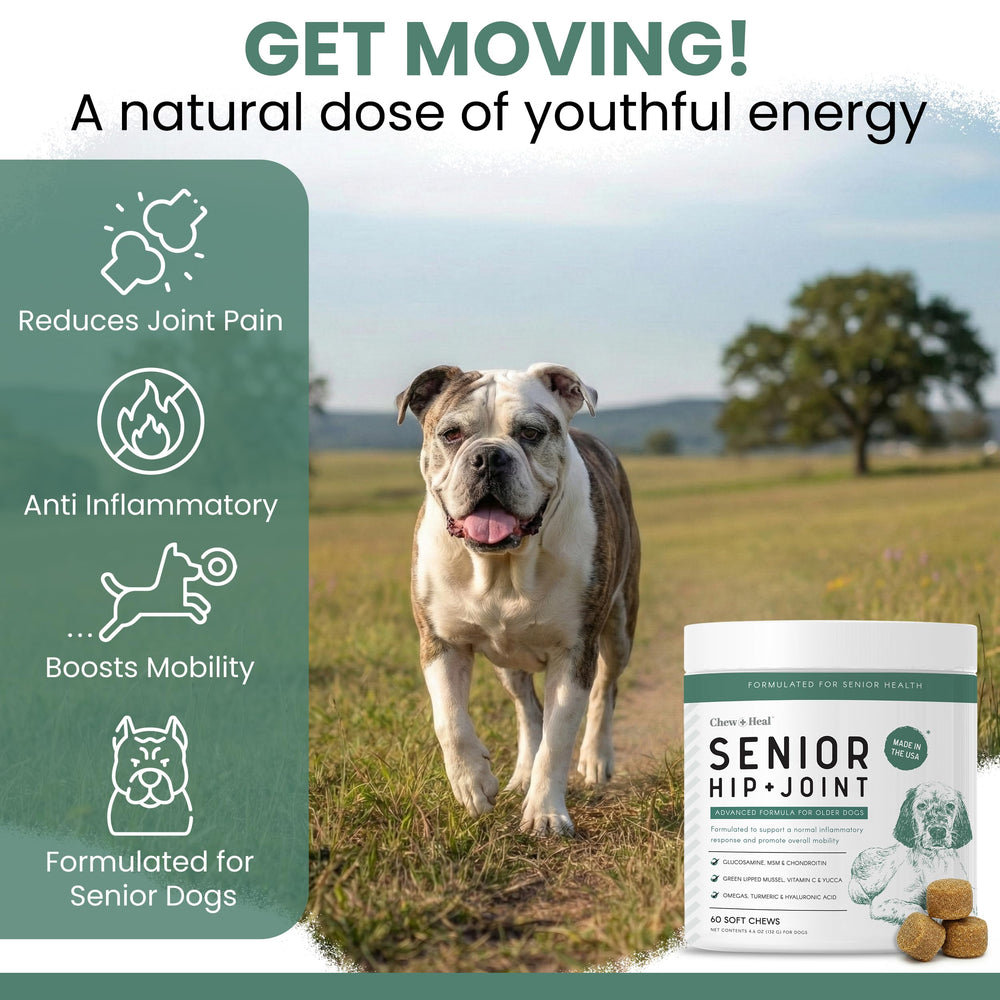 Chew + Heal Labs chew texture profile showing pliable consistency that eases chewing and swallowing