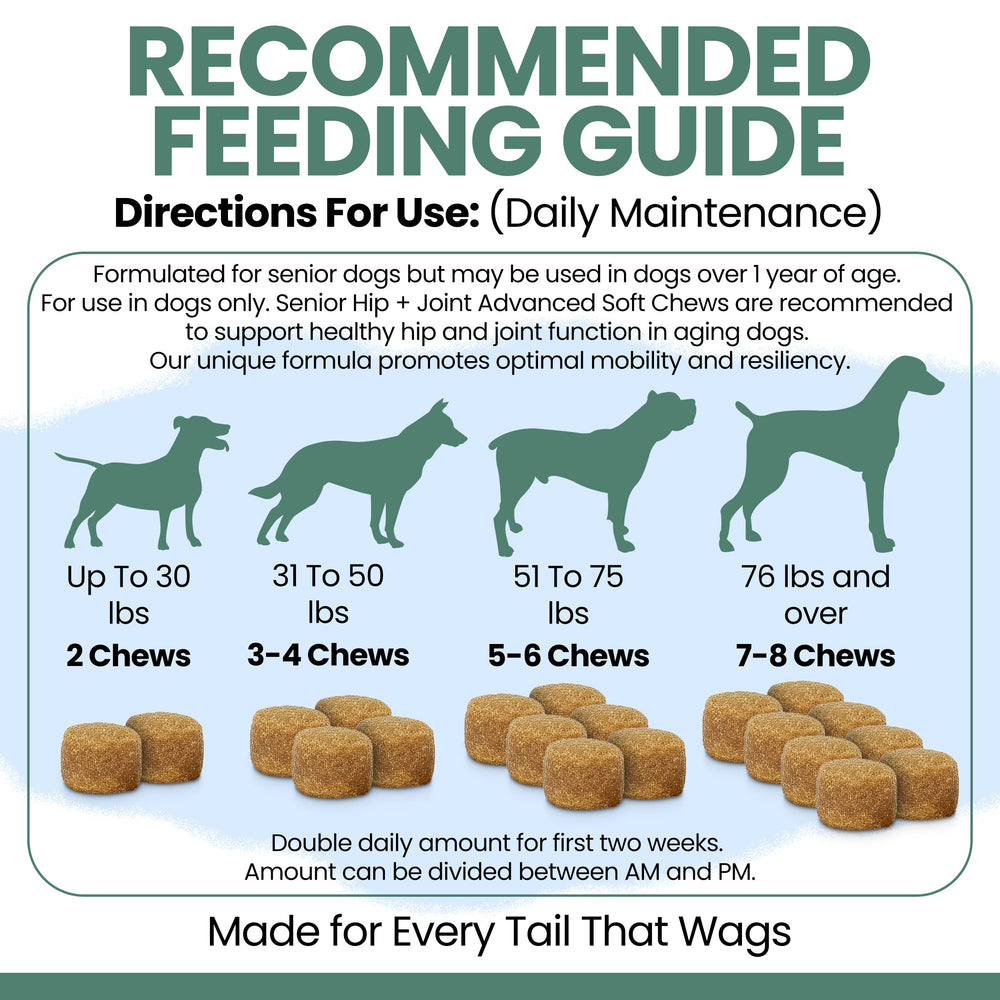 Chew + Heal Labs label close-up listing glucosamine, chondroitin, MSM and supporting nutrients