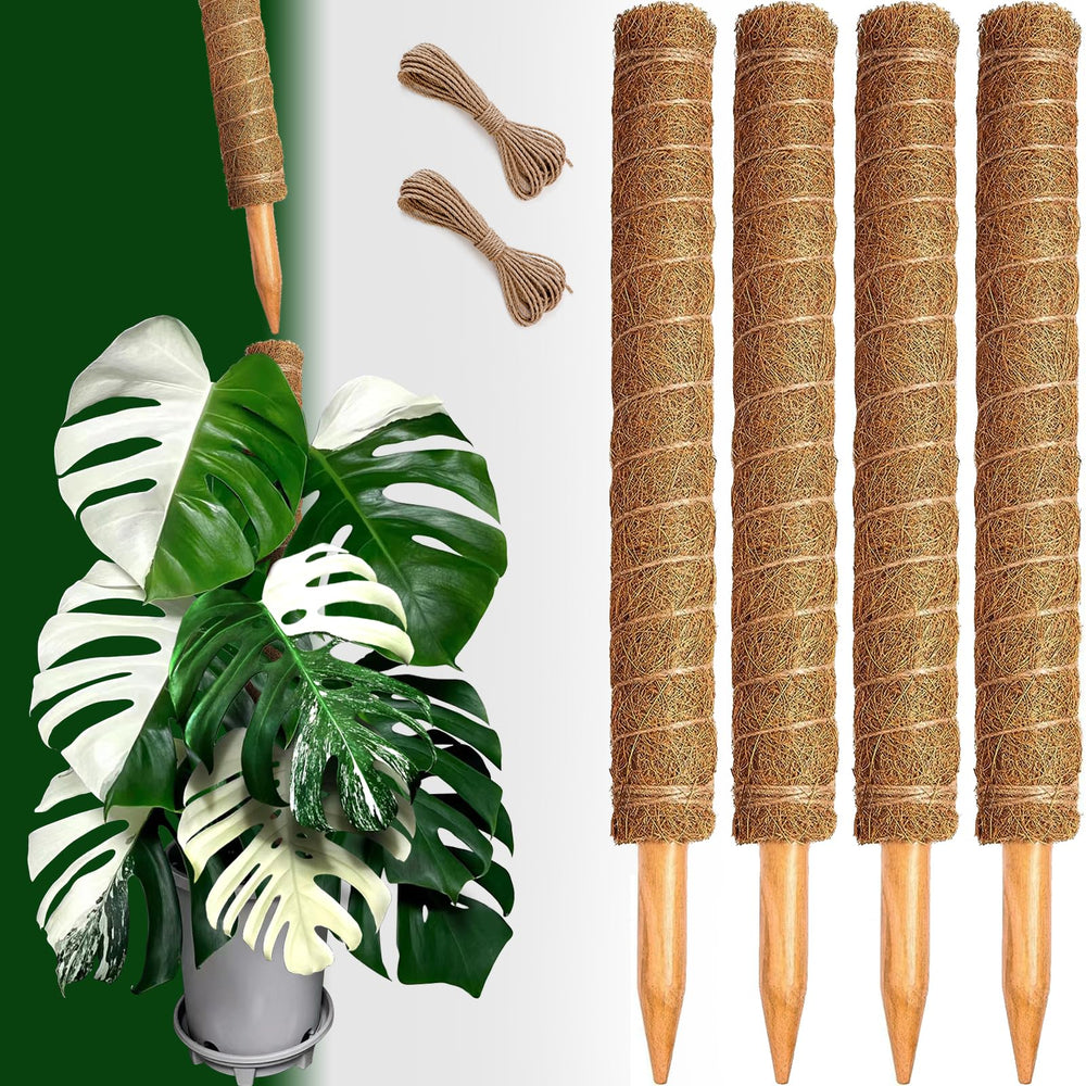 CHIAFFI lifestyle shelf with multiple plants using poles for neat vertical garden presentation