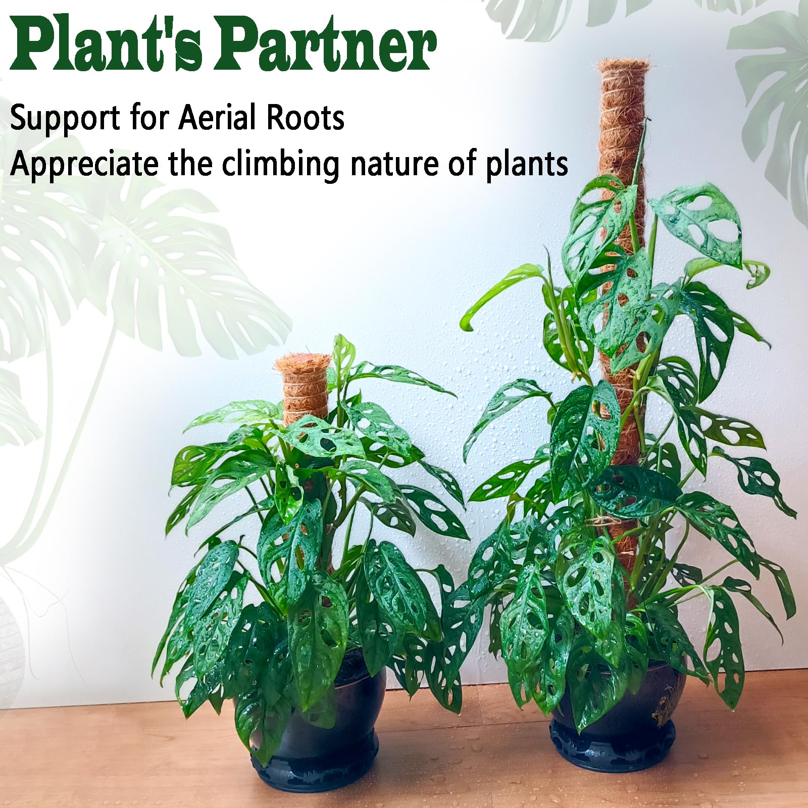 CHIAFFI pole beside standard pot illustrating scale and fit for common planter sizes