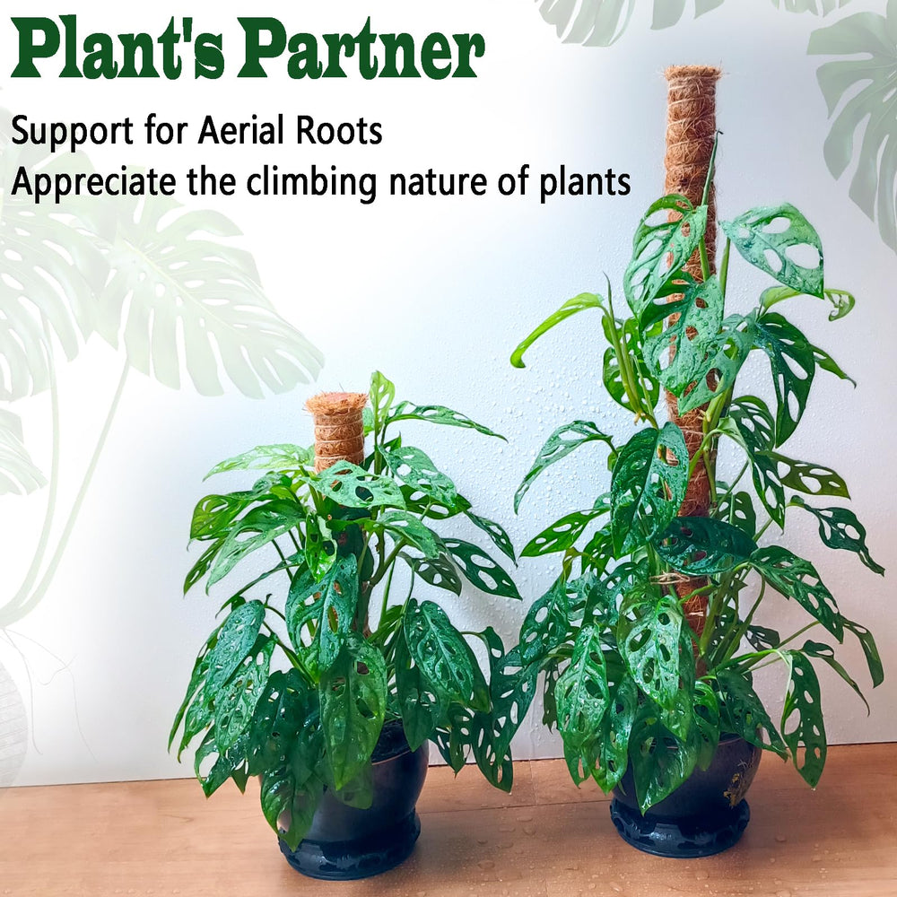 CHIAFFI pole beside standard pot illustrating scale and fit for common planter sizes