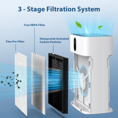 CHIVALZ honeycomb activated carbon detail showing improved odor removal