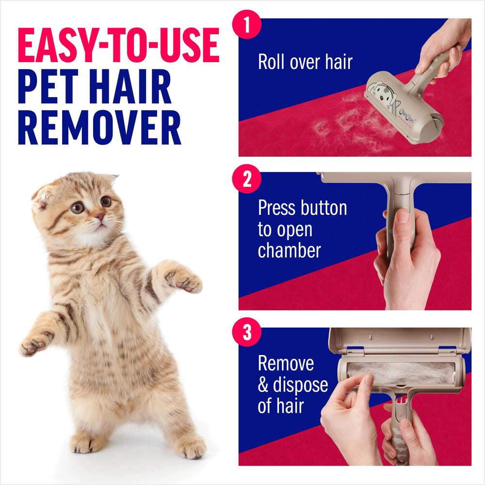 ChomChom Roller removing dog hair from couch to keep upholstery clean and guest-ready