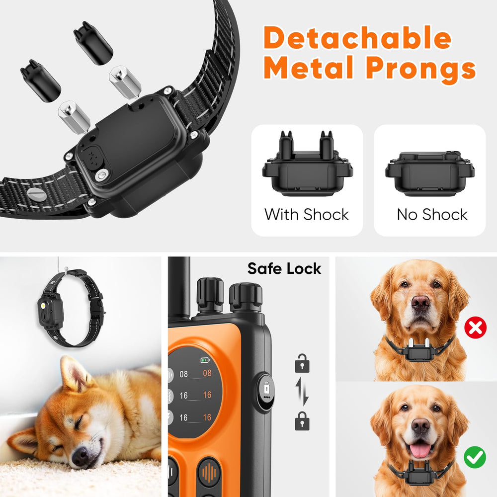 CIUZL owner training two dogs in park showcasing dual-channel real-time control