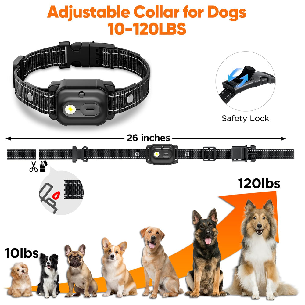 CIUZL collar beside ruler showing adjustable length for correct sizing benefit