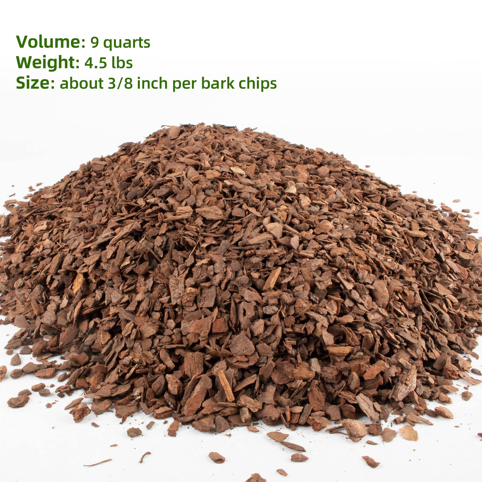 CJGQ bark in an orchid pot demonstrating improved drainage and root space