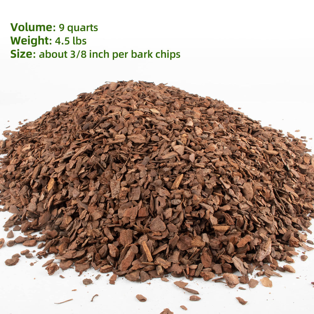 CJGQ bark in an orchid pot demonstrating improved drainage and root space