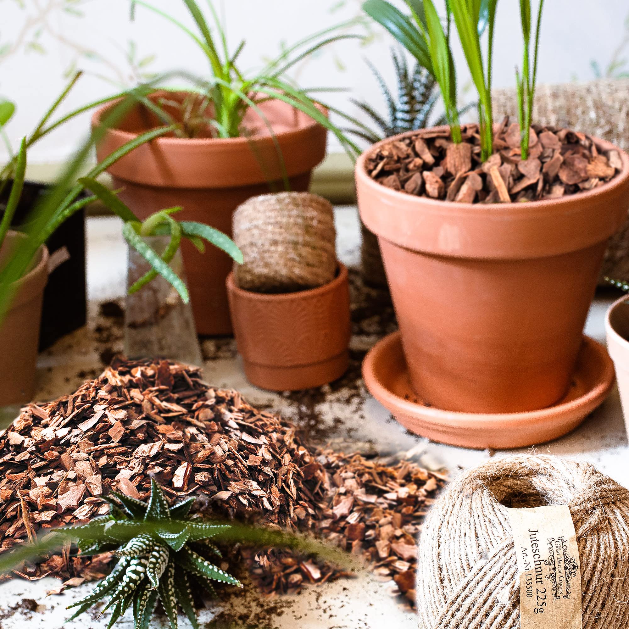 CJGQ bark in a greenhouse lifestyle scene supporting healthy orchids