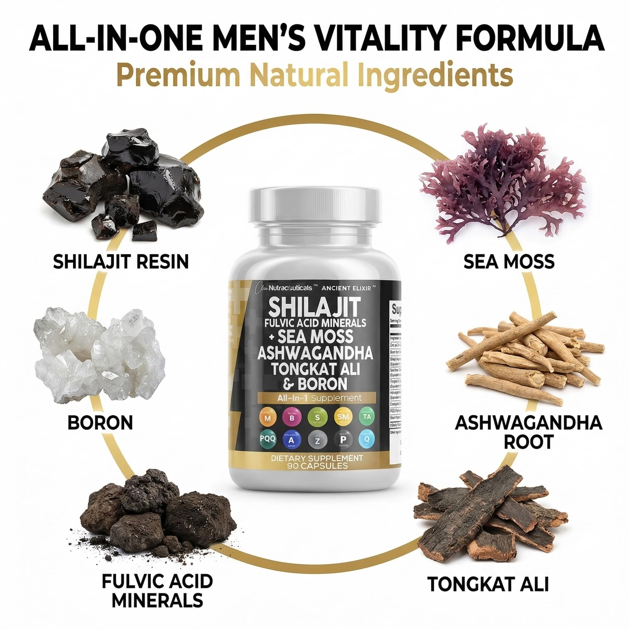 Clean Nutraceuticals capsules in hand showing portion size and travel-ready benefit