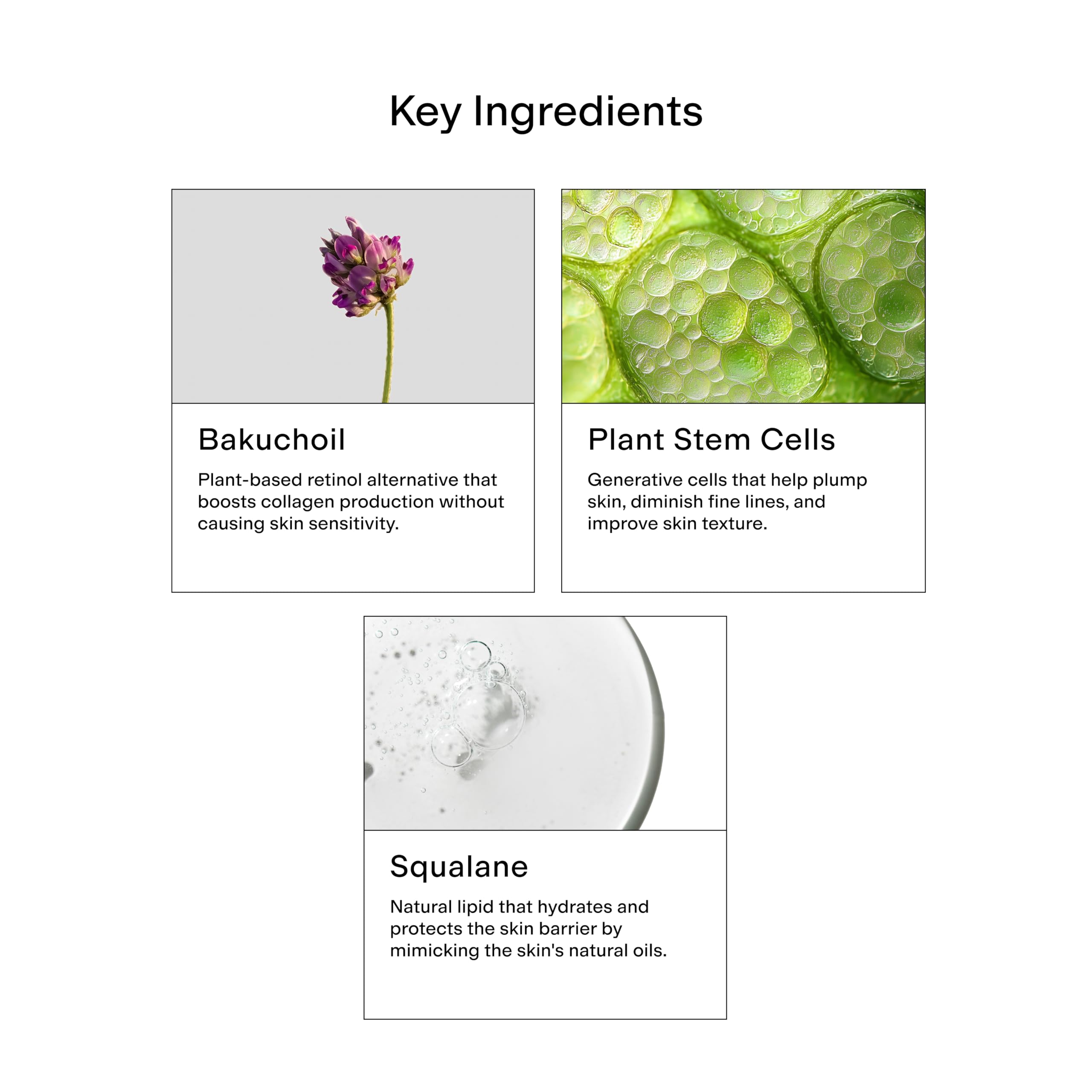 CLEARSTEM label close-up showing non-comedogenic and cruelty-free benefits