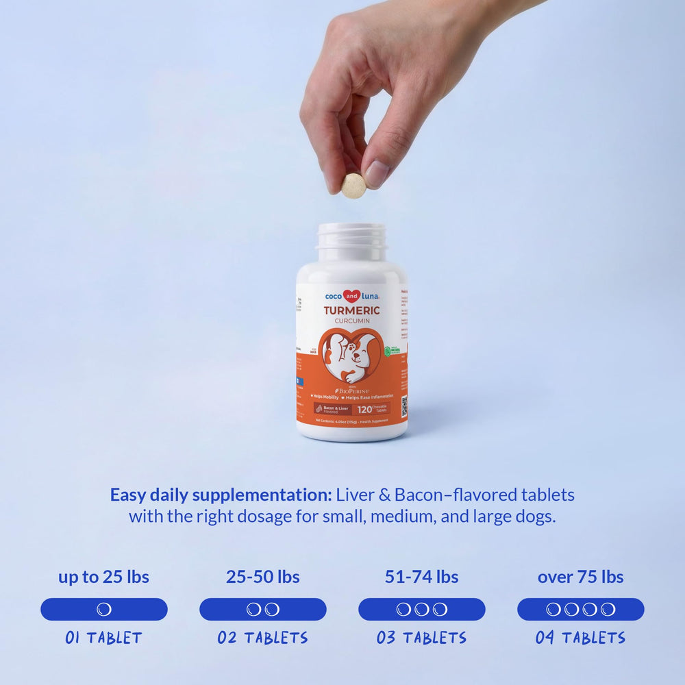 Coco and Luna curcumin visual emphasizing active ingredient potency benefit
