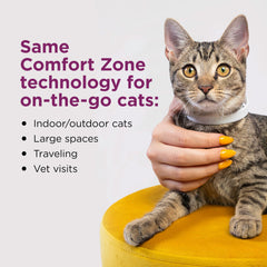 Comfort Zone collar worn on a relaxed cat demonstrating calm behavior