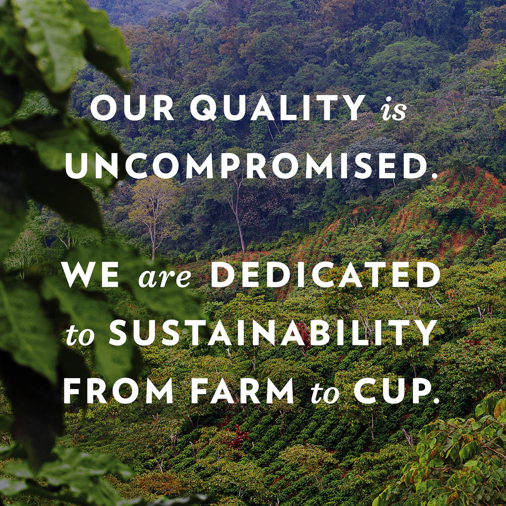 Community Coffee in French press brewing to show extraction and robust taste benefit