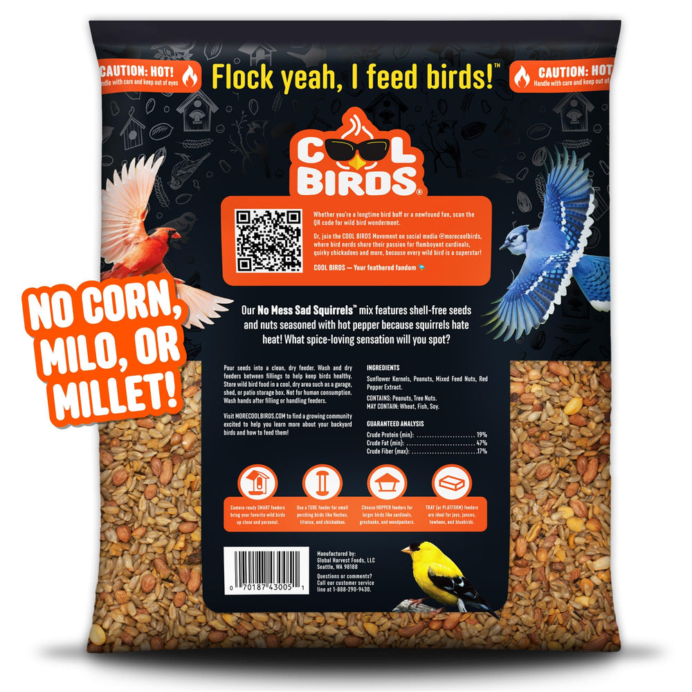 COOL BIRDS chopped tree nuts detail highlighting protein-rich ingredients