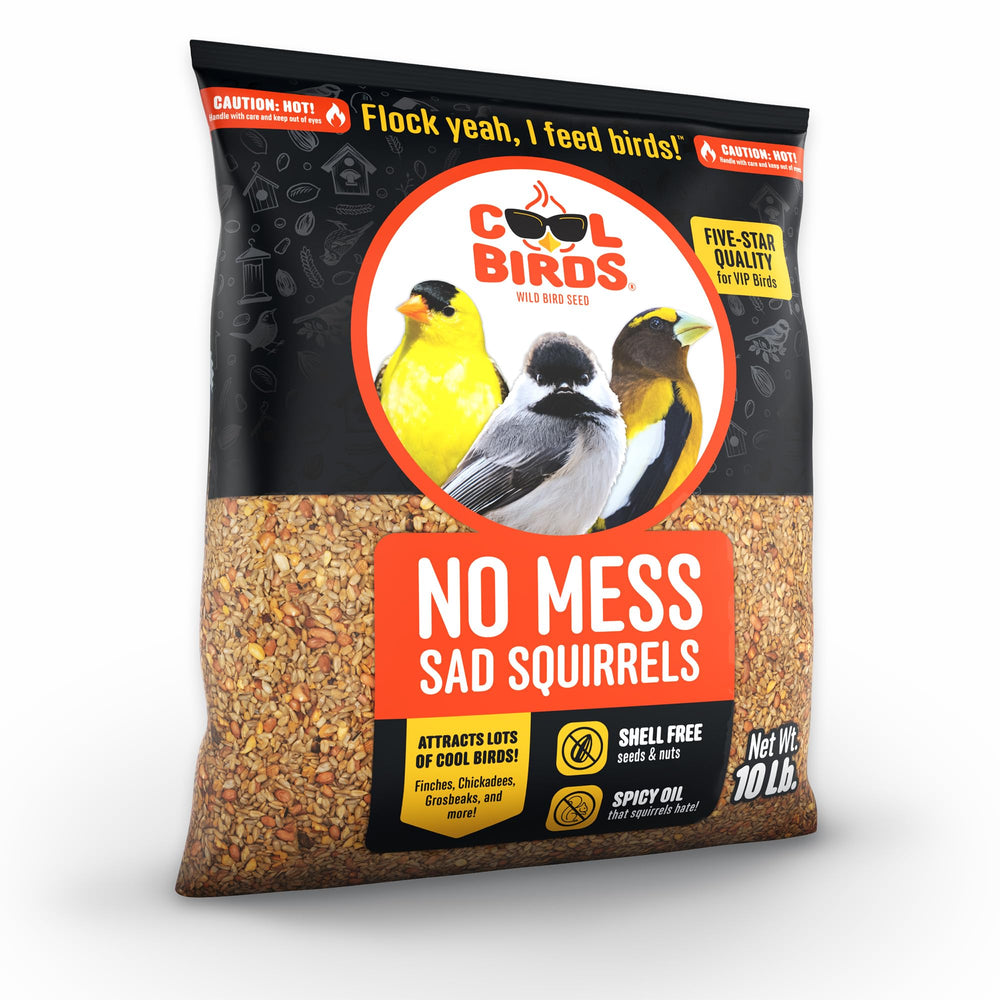 COOL BIRDS close-up of sunflower chips showing high-energy bird food