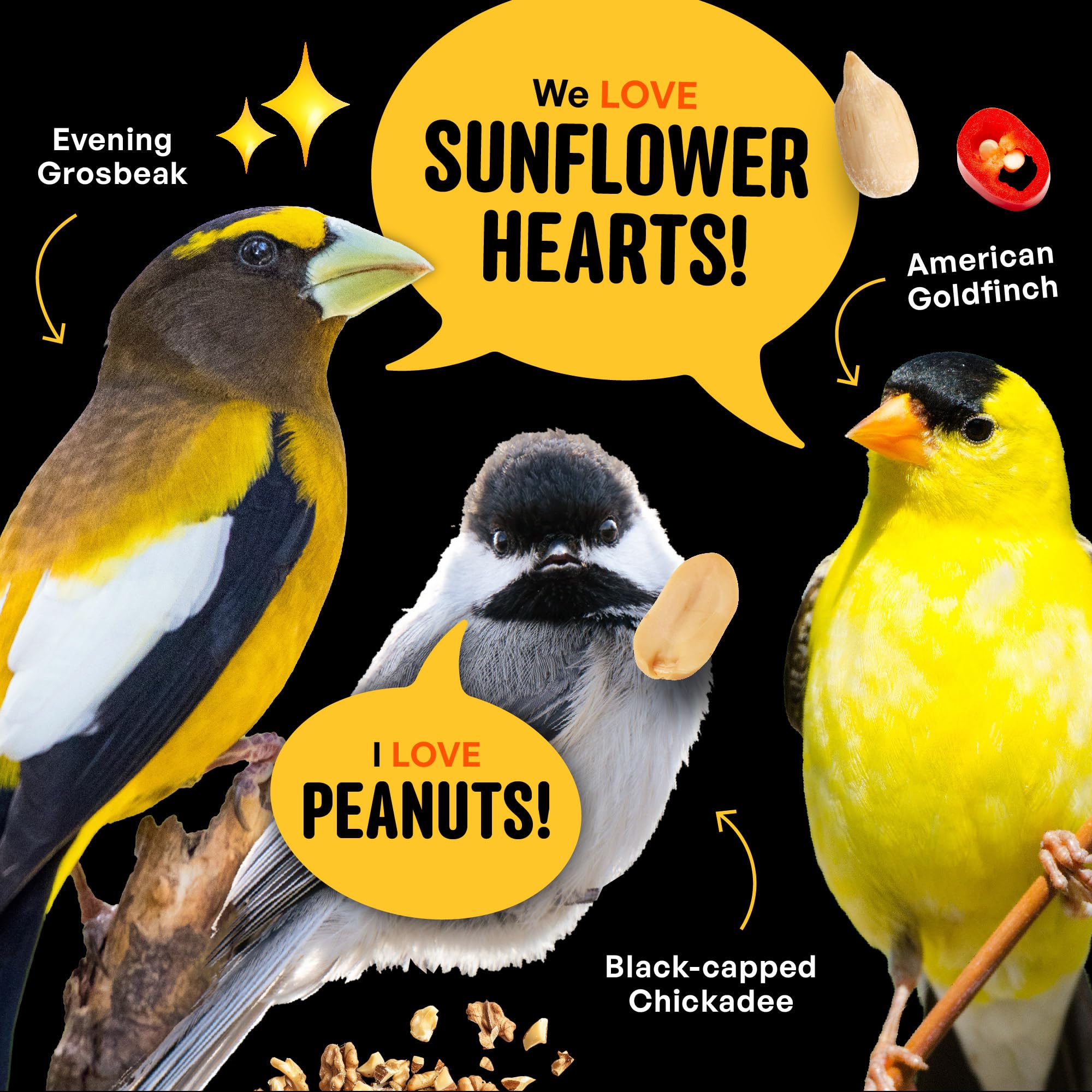 COOL BIRDS tube feeder loaded to show feeder compatibility and ease