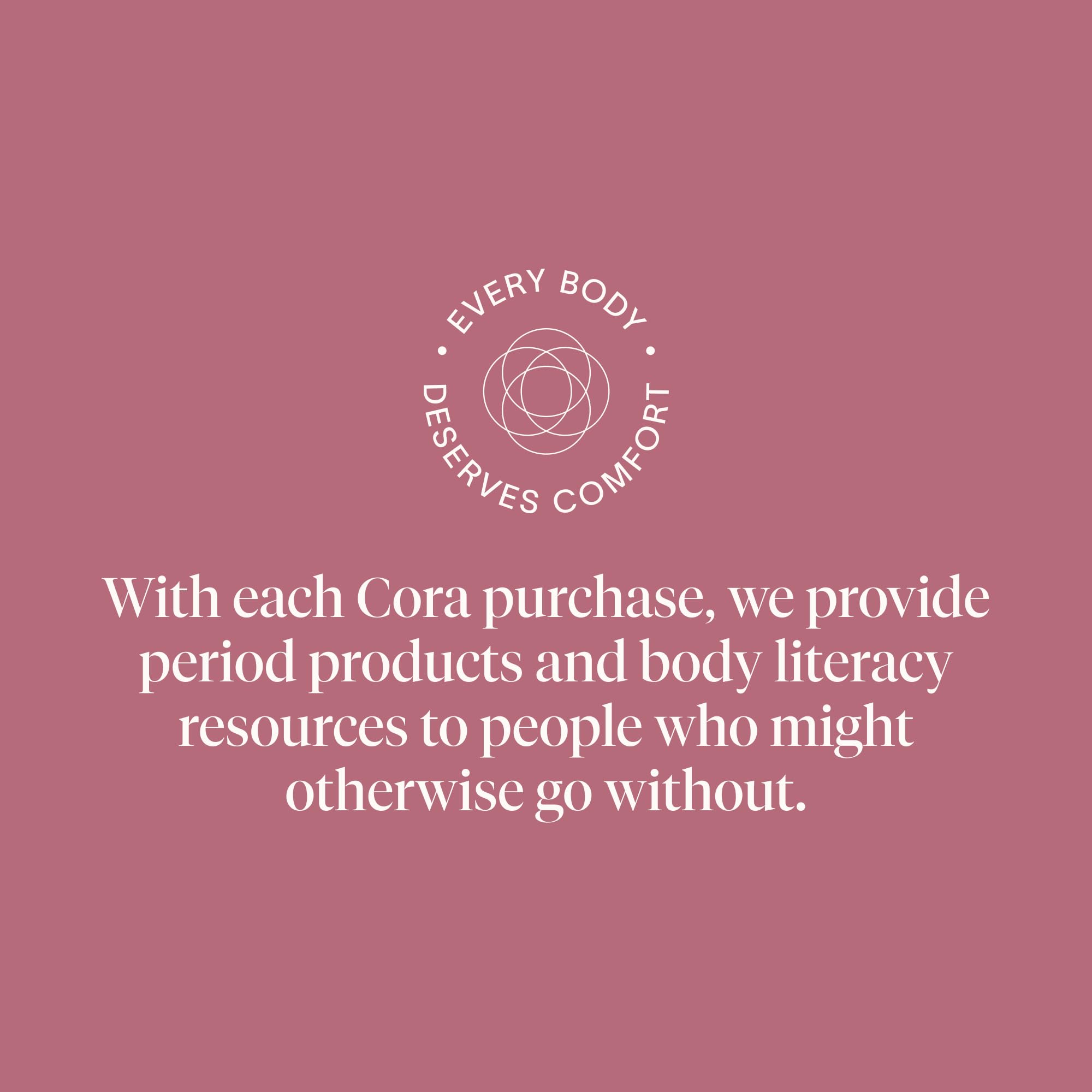 Cora liner in a travel bag showing portability and convenience for busy days