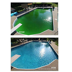 Coral Seas Green To Clean being broadcast at pool perimeter to speed algae removal