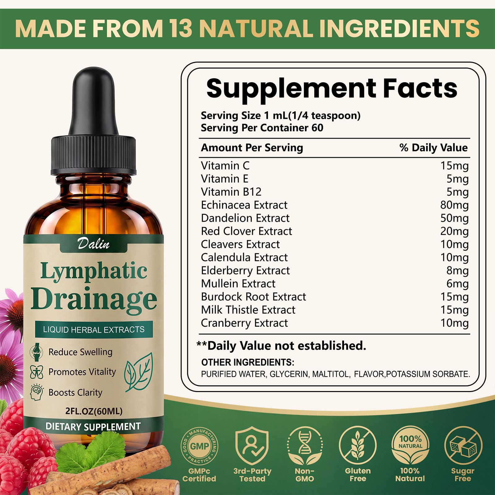 Dalin herbal ingredients flatlay displaying botanicals like echinacea and burdock benefits transparency