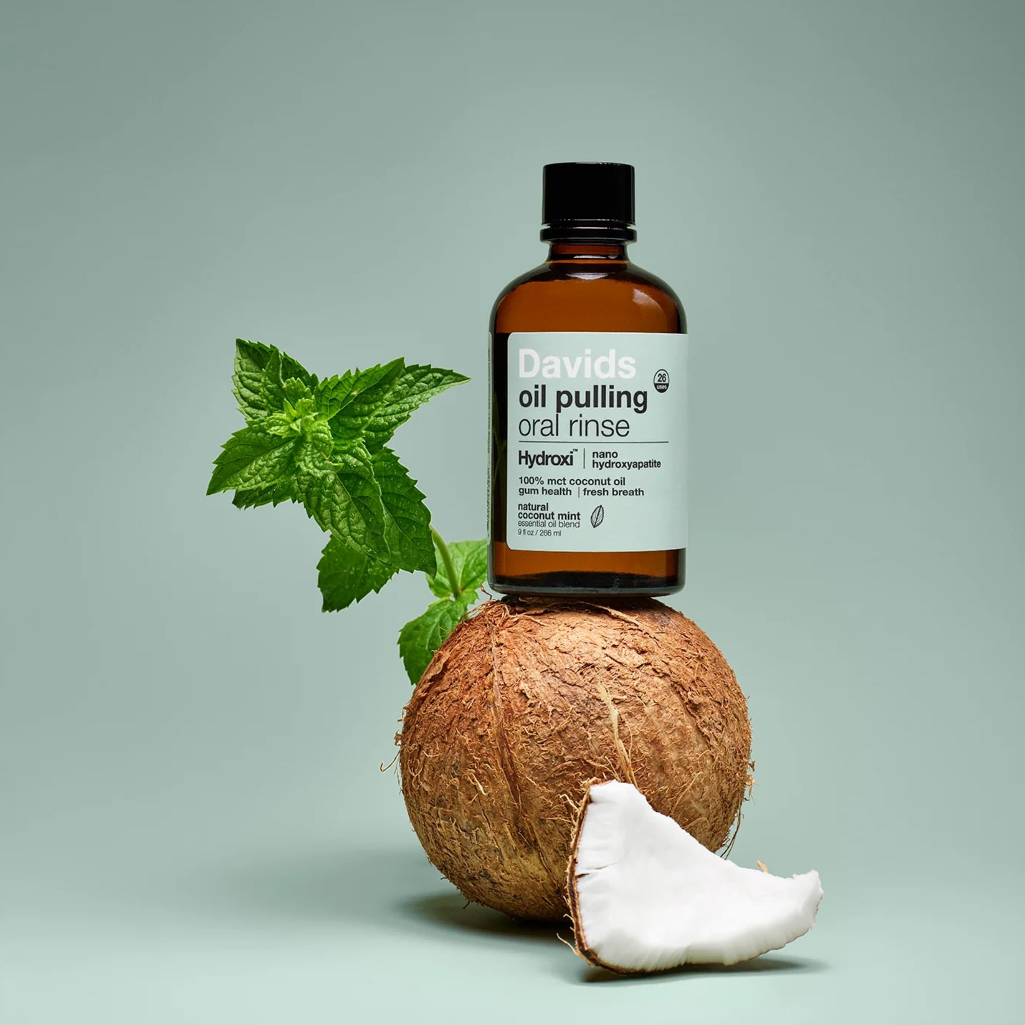 Davids mint oil ingredients display communicating natural flavor and refreshing breath