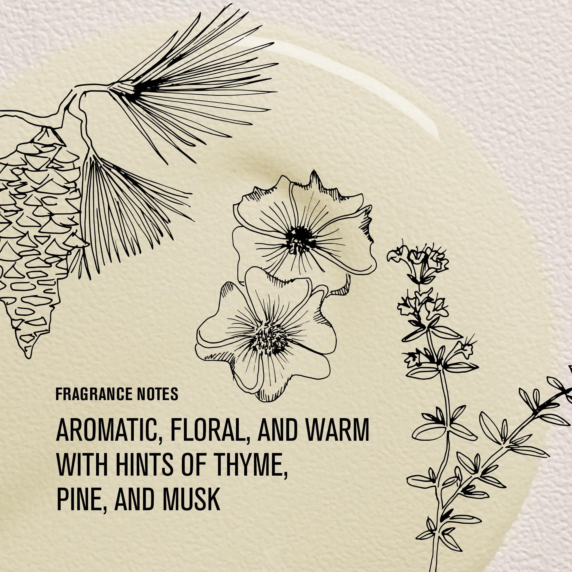 Davines OI Oil applied to damp hair showing detangling and styling ease benefit