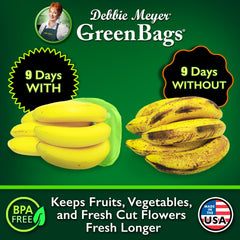 Debbie Meyer extra-large bag storing heads of lettuce and broccoli longer