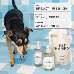 Dog being sprayed with DedCool for quick refresh and odor control benefit