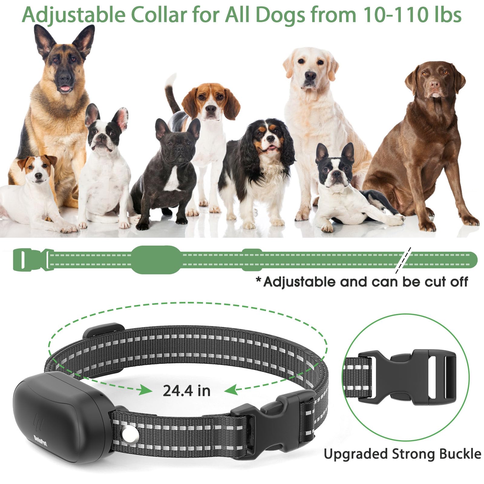 Delupet product packaging and accessories laid out for easy setup benefit