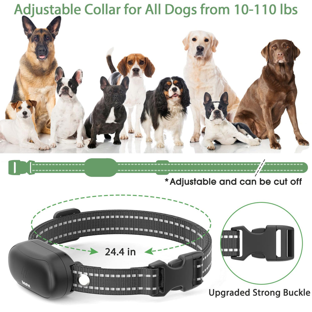 Delupet product packaging and accessories laid out for easy setup benefit