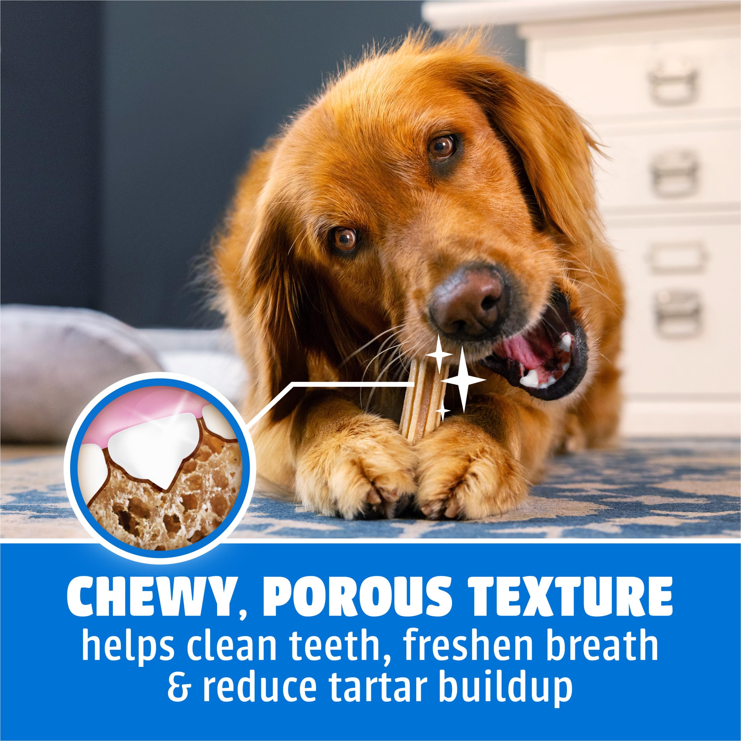 Dentalife large dog chewing chicken-flavored treat for enjoyable oral care