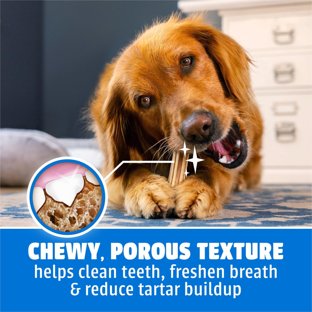 Dentalife large dog chewing chicken-flavored treat for enjoyable oral care