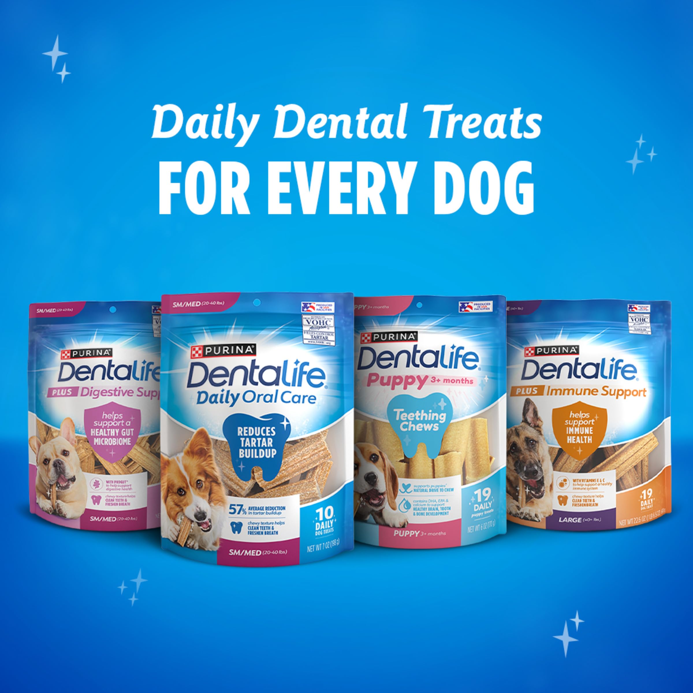 Dentalife large dog smiling outdoors after chew for fresher breath benefit