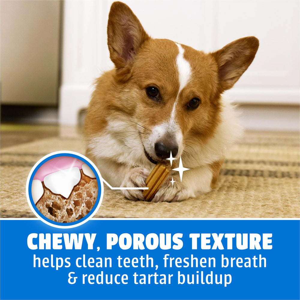 Dentalife Purina chew on a bowl as serving suggestion, encourages daily use