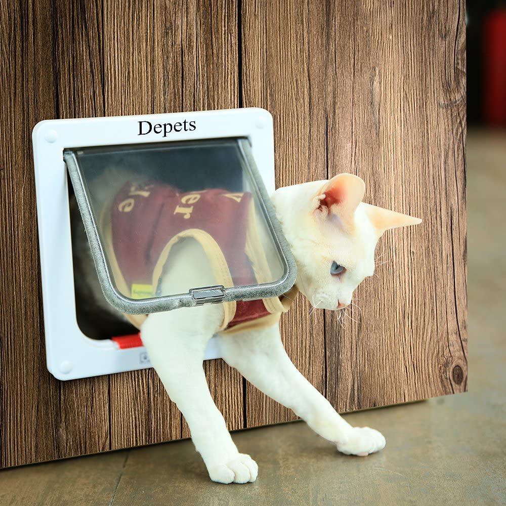 Depets transparent flap close-up revealing visibility feature for calmer pets