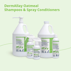 DermAllay label close-up highlighting soap-free formula and features