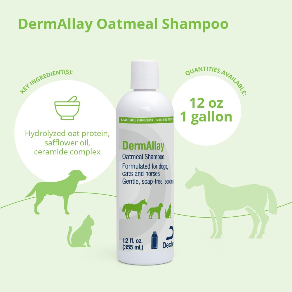 DermAllay pump dispenser for easy single-handed shampoo application
