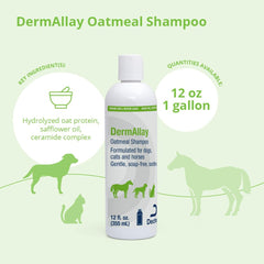 DermAllay pump dispenser for easy single-handed shampoo application