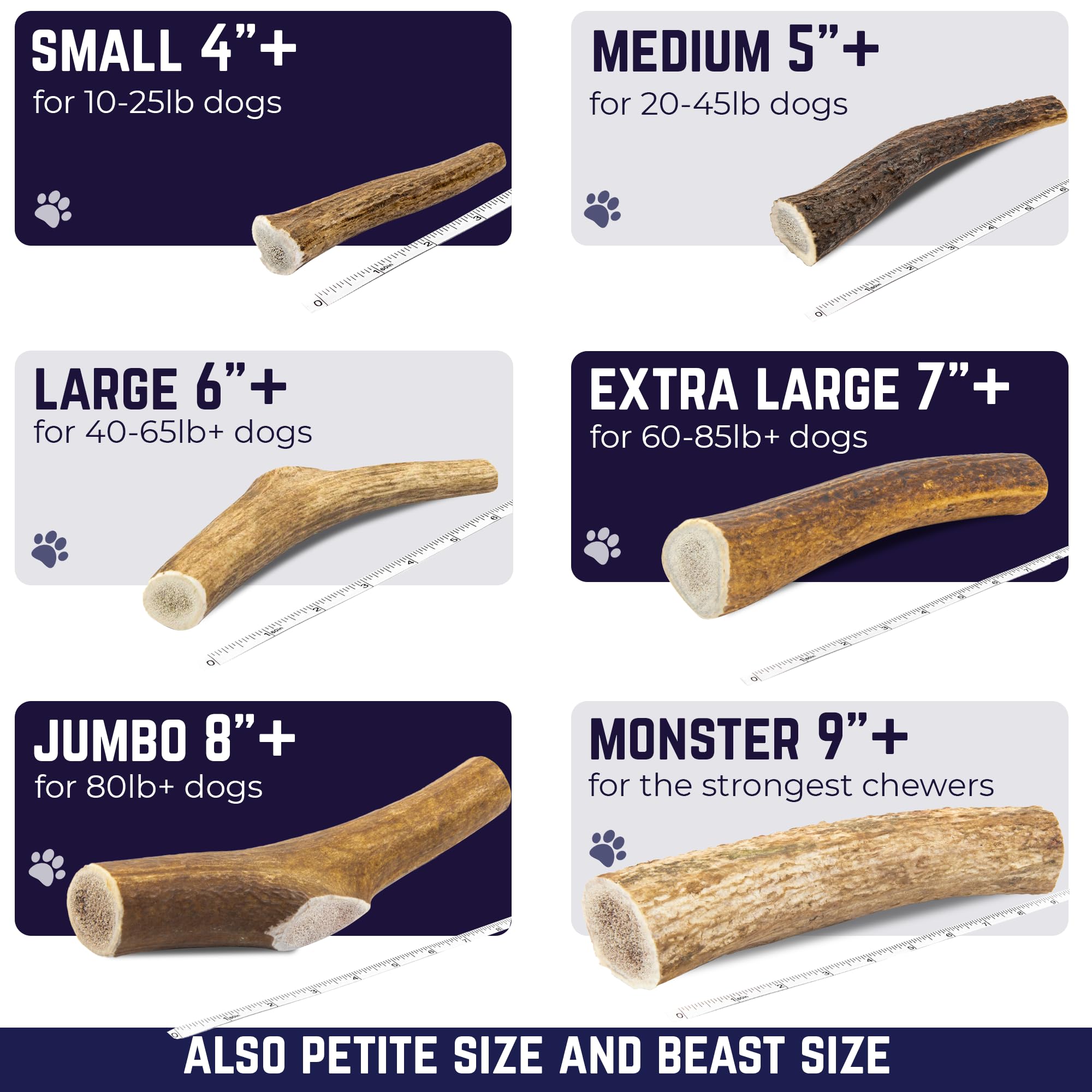 Devil Dog Pet Co cross-section of antler marrow displays natural minerals benefit