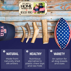 Devil Dog Pet Co sanded edge detail reduces sharpness for safer chewing