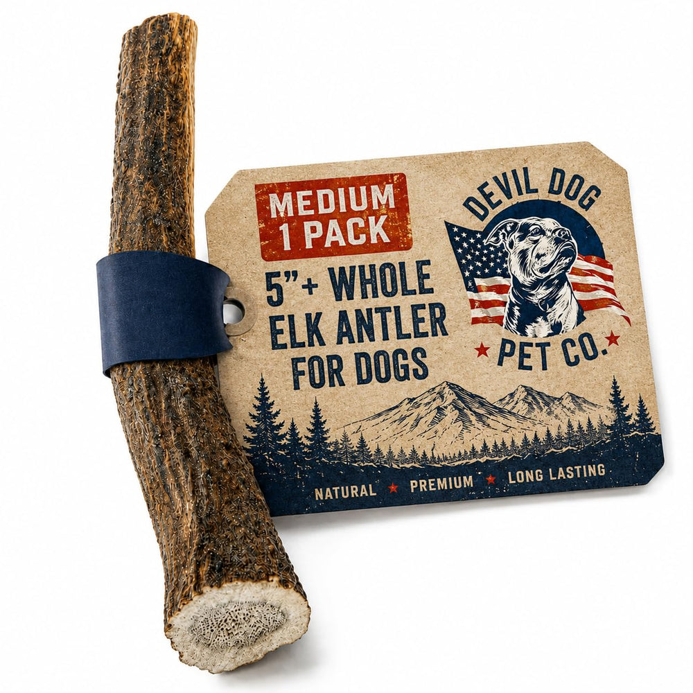 Devil Dog Pet Co front view of medium elk antler shows durable chew benefit