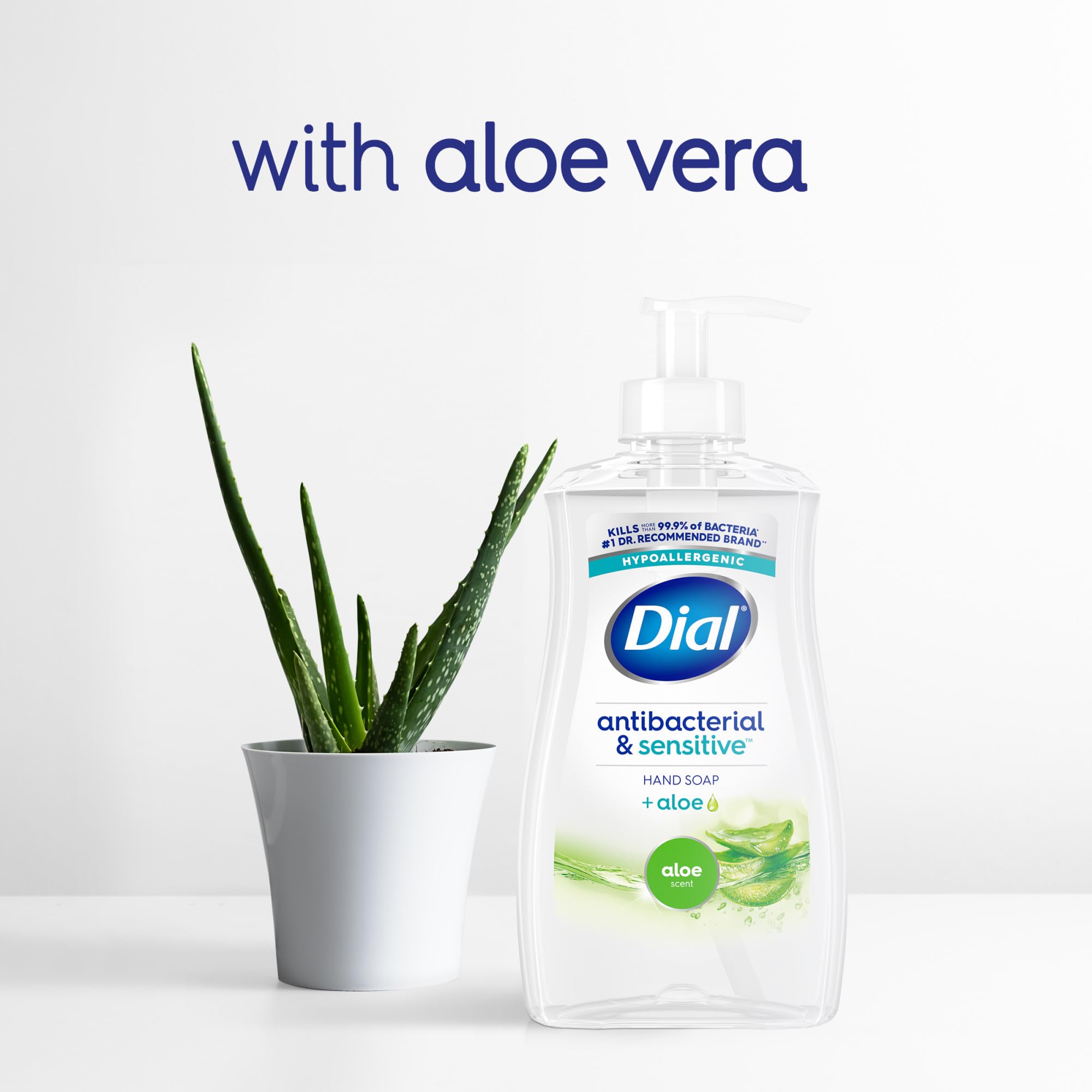 Dial aloe kitchen sink setup showing practical everyday use