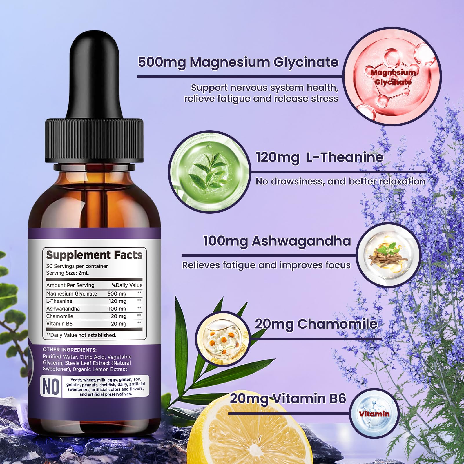 dilib ingredients flatlay herbs showing ashwagandha and chamomile for natural support