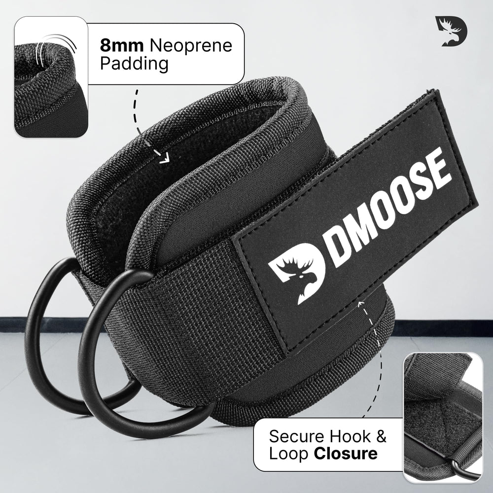 DMoose stainless steel D-ring detail for rust-resistant secure connection