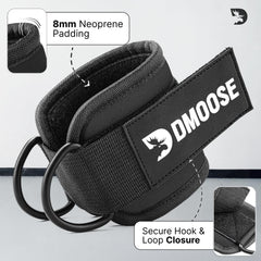 DMoose stainless steel D-ring detail for rust-resistant secure connection