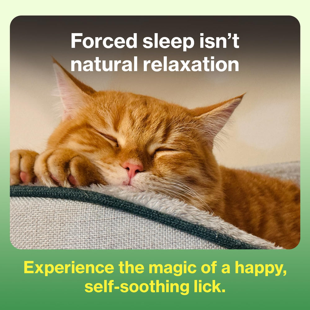 Cat licking Doctor By sachet demonstrating easy, stress-free dosing
